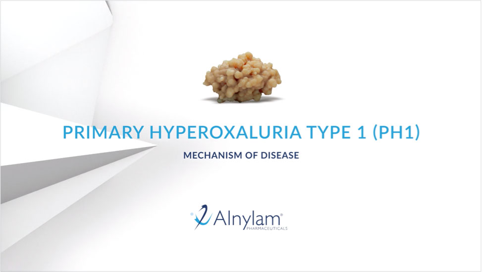Primary Hyperoxaluria Type 1 (PH1) Mechanism of Disease - Kidney Function Decline - Video Thumbnail