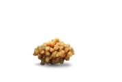 Logo | Behind The Stone